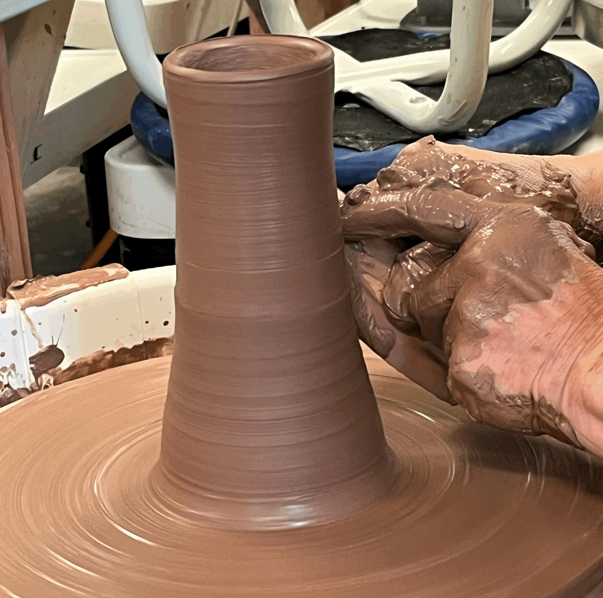 Expanding Your Skills with Specialized Techniques January 10th - February 28th