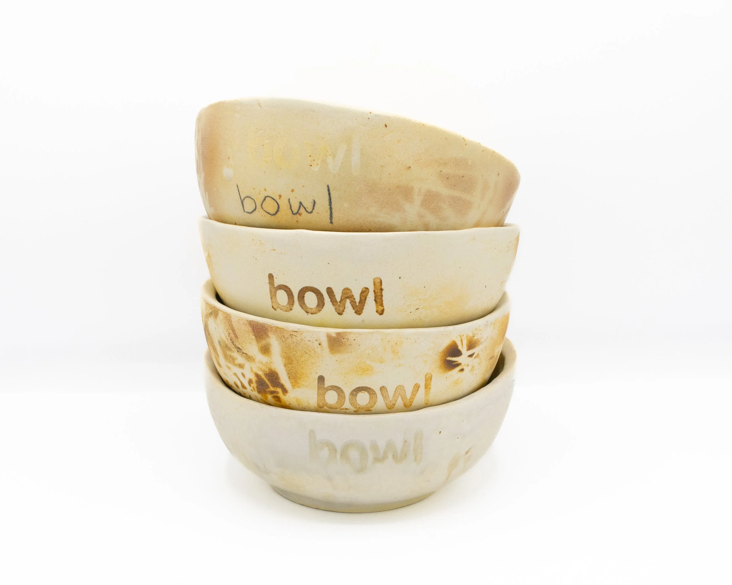 Intro to Slip Casting January 17th- January 31st