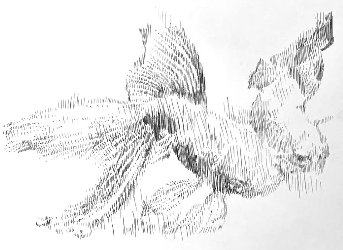 1.14.25.2