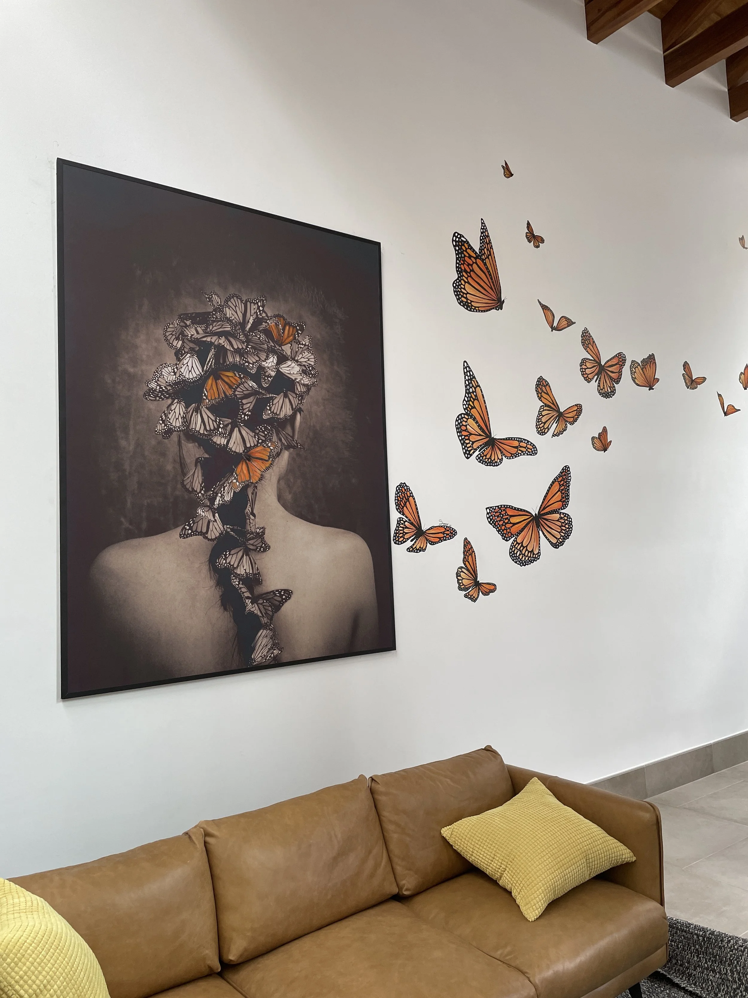 Volando Alto - 5.50m x 4.30m 