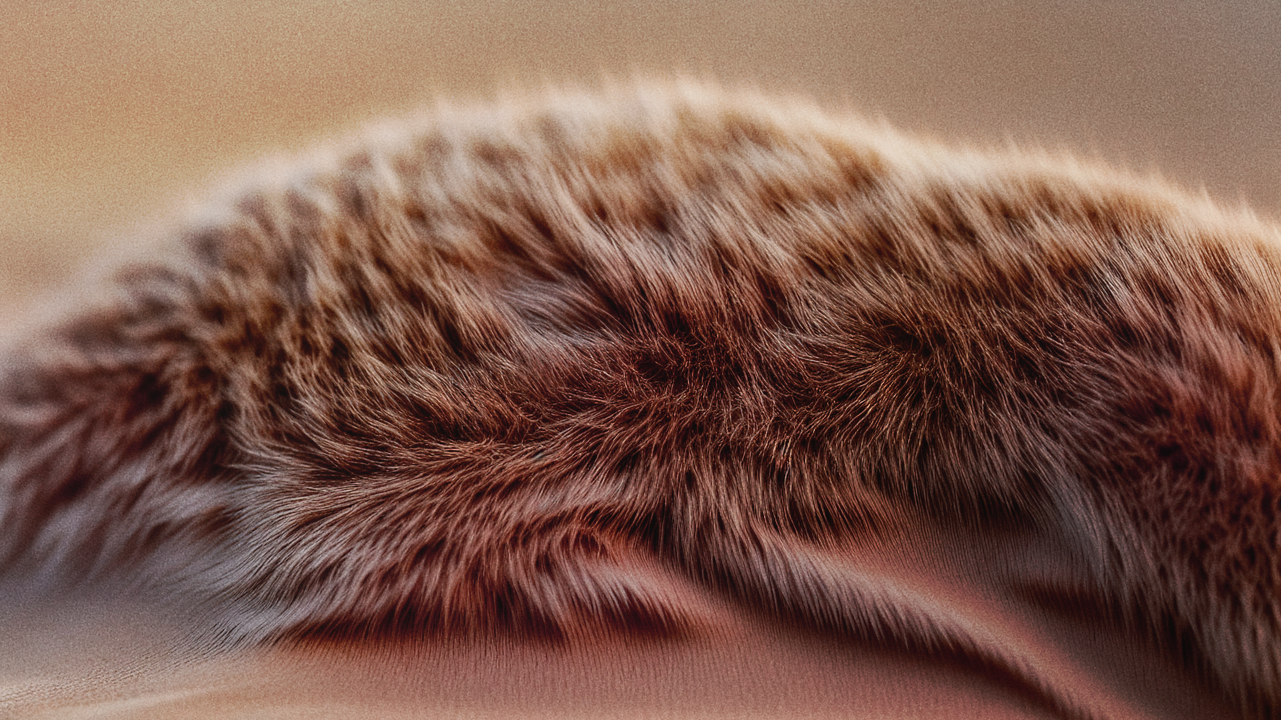 SD_ZC_R1_ImageEdits_003_A.png