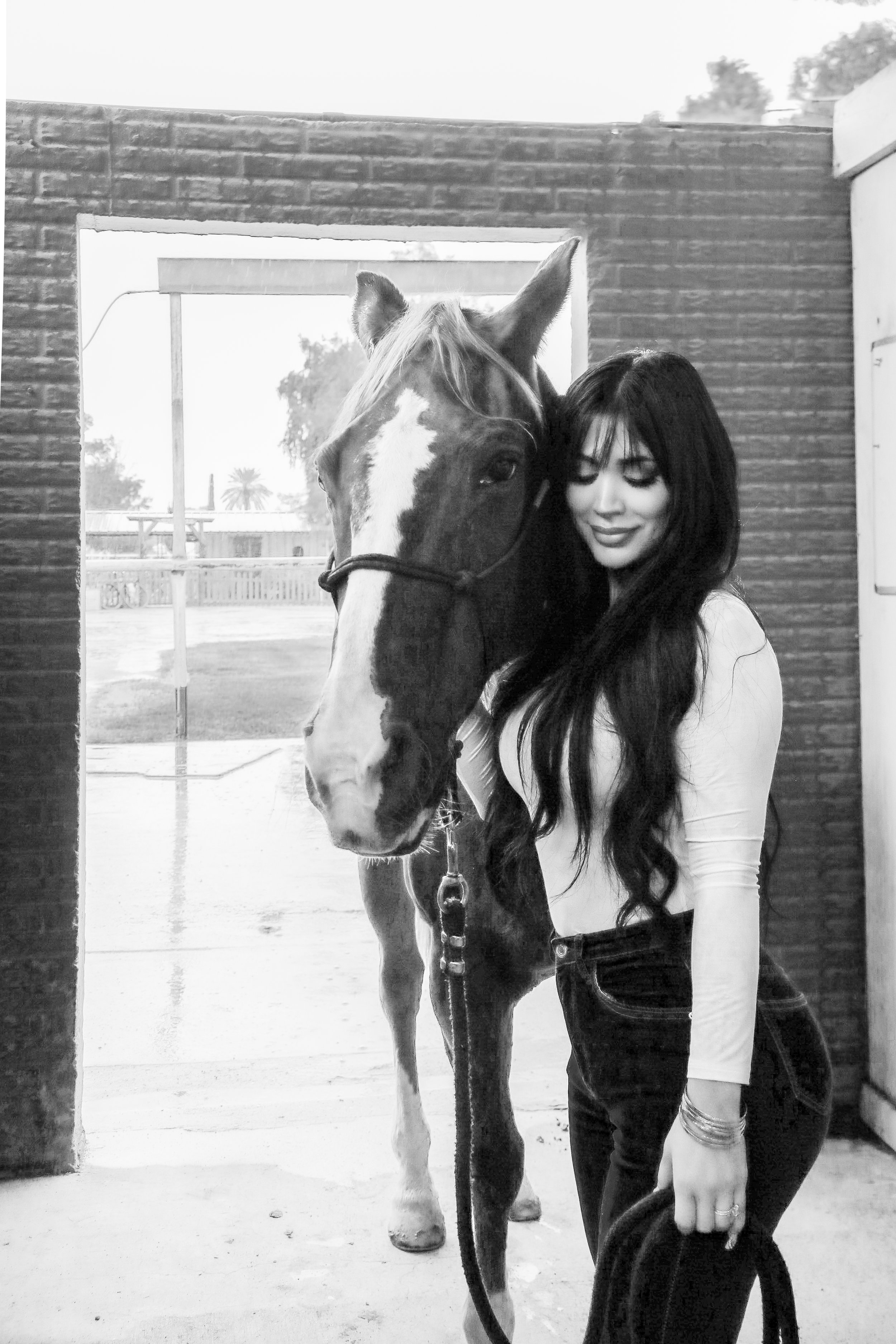 Horse Harmonies x Oshoot.az-7.jpg