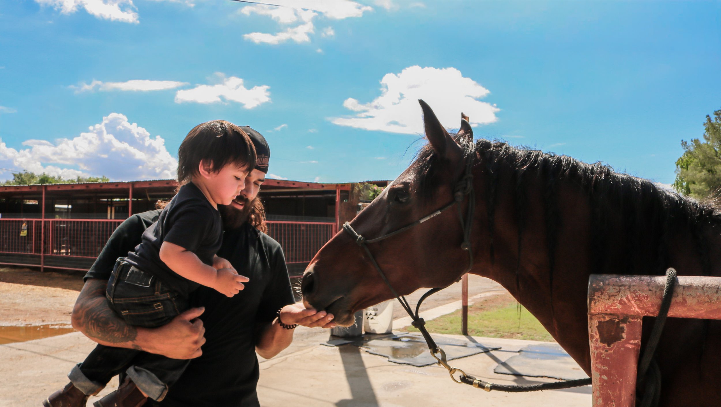 Horse Harmony Riding School x Oshoot.az-7.jpg