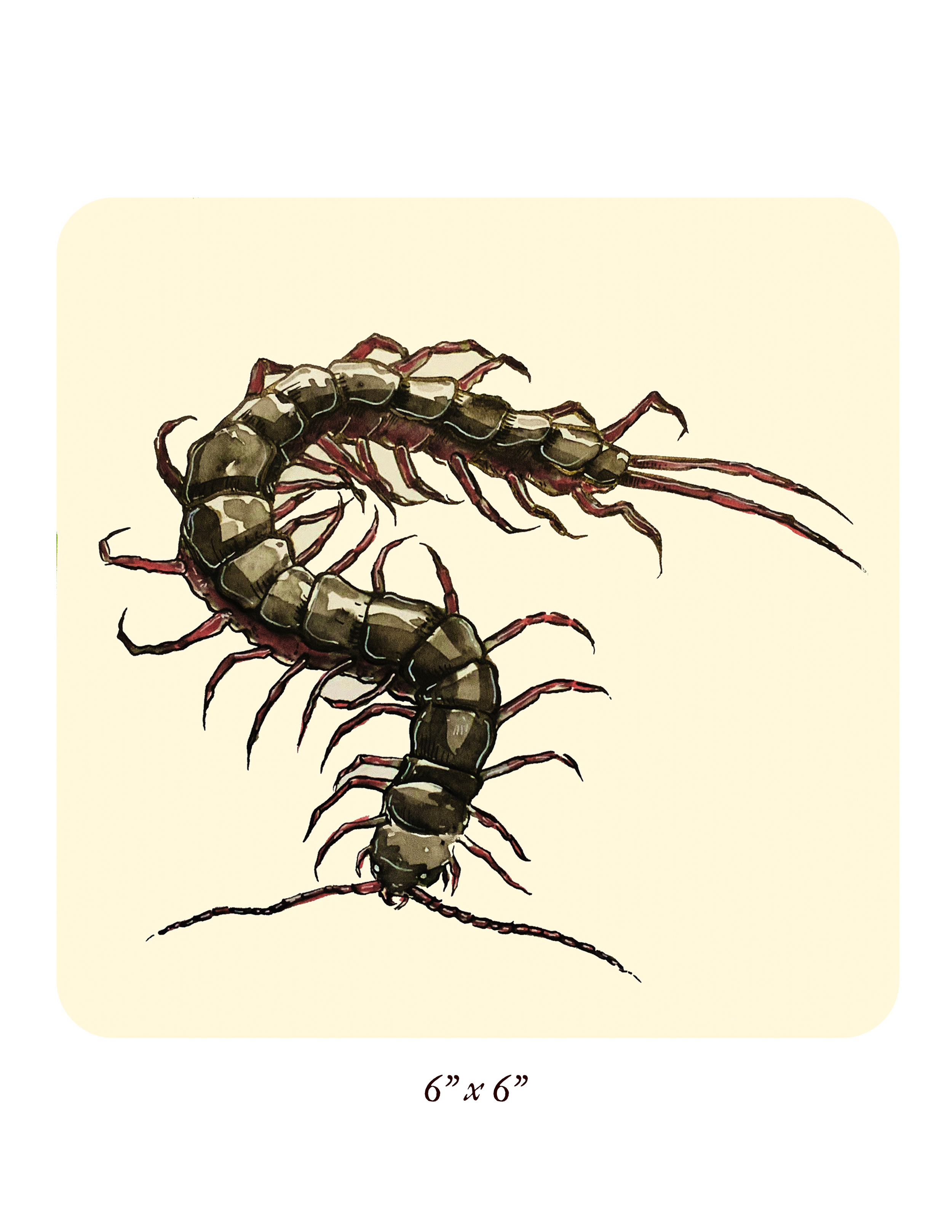 Centipede ✶ Mini Print