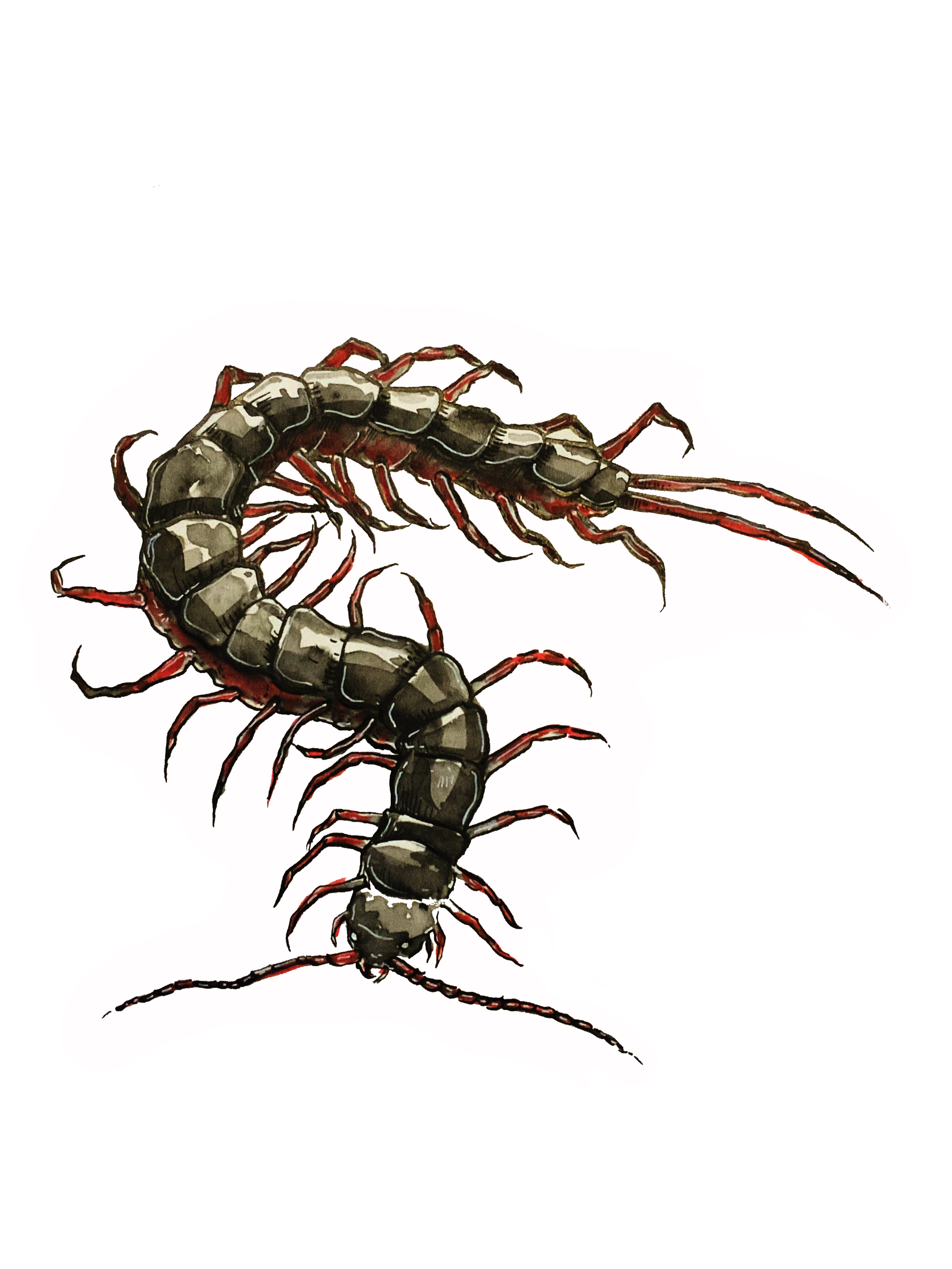 Centipede ✶ Sticker