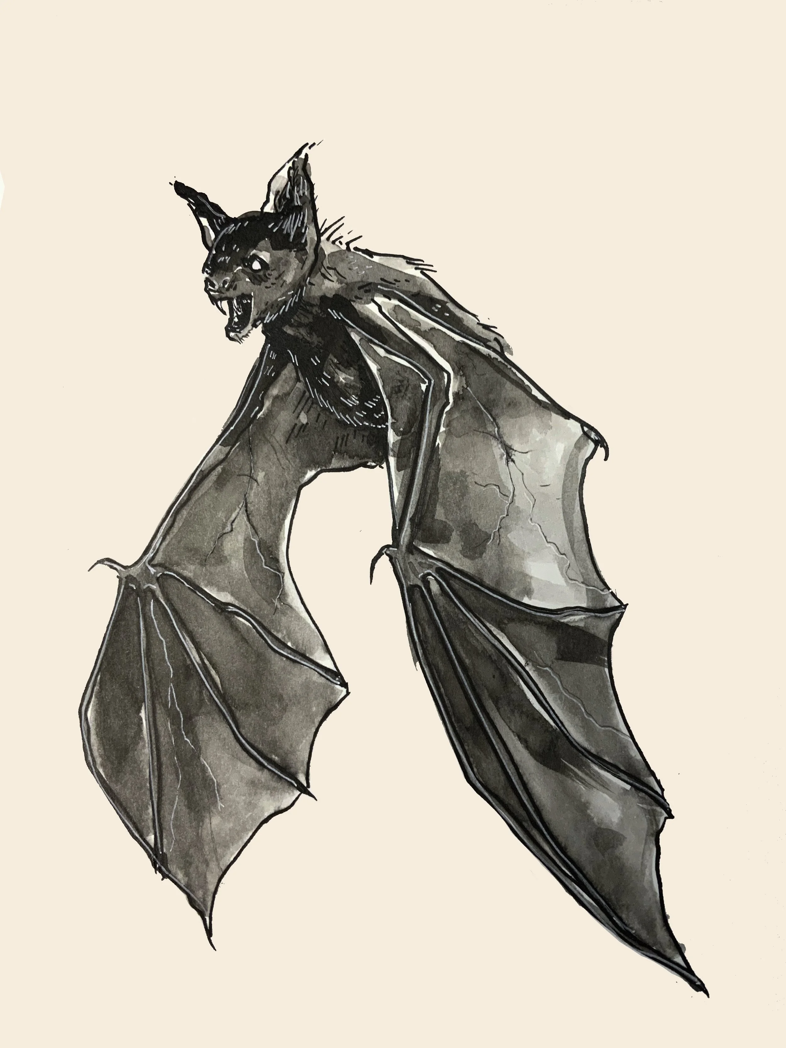 Bat ✶ Print