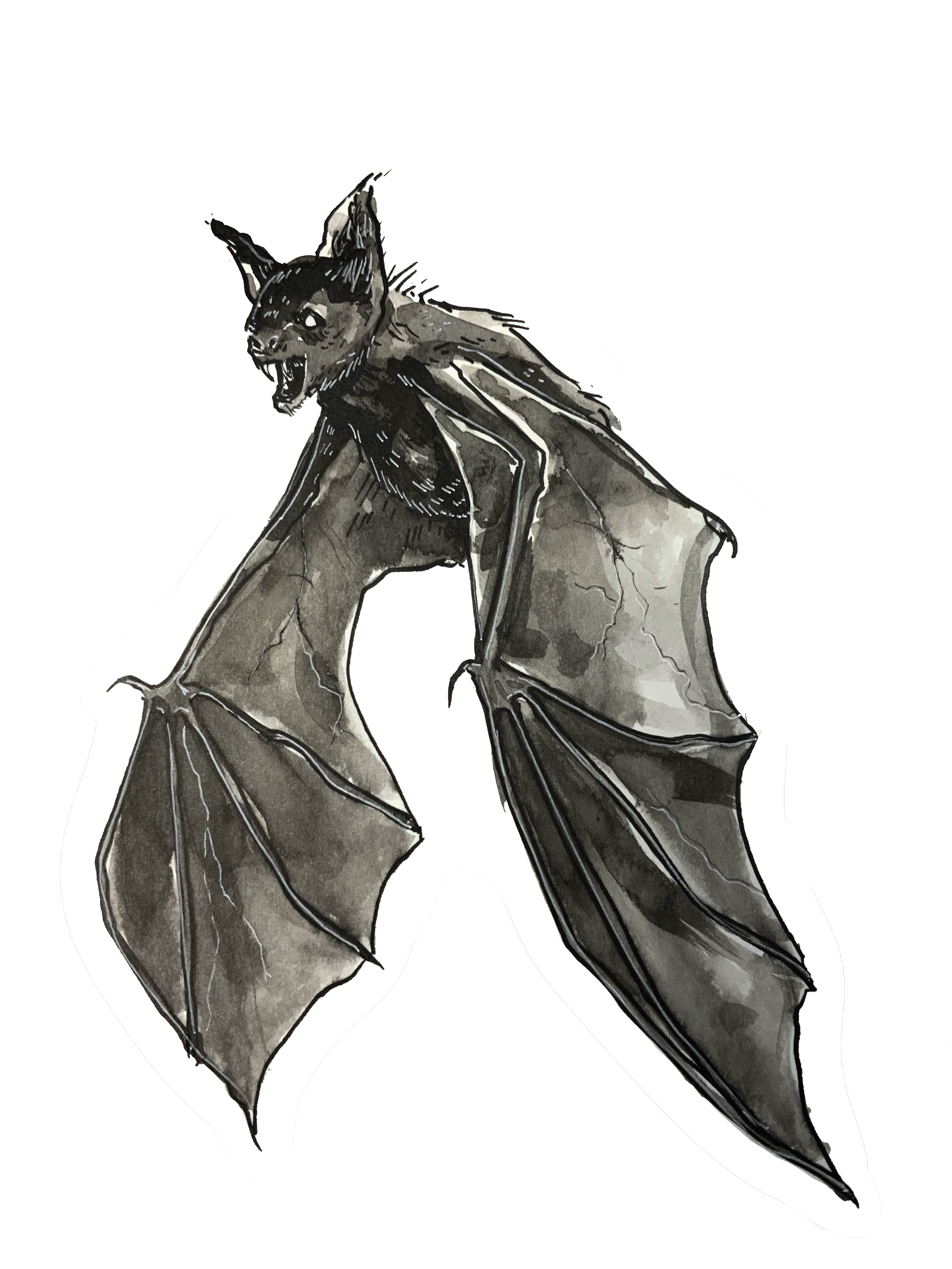 Bat ✶ Sticker