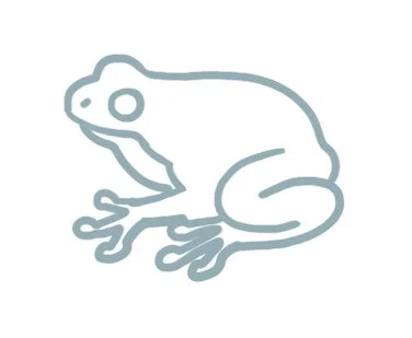 Simple line drawing of a frog.