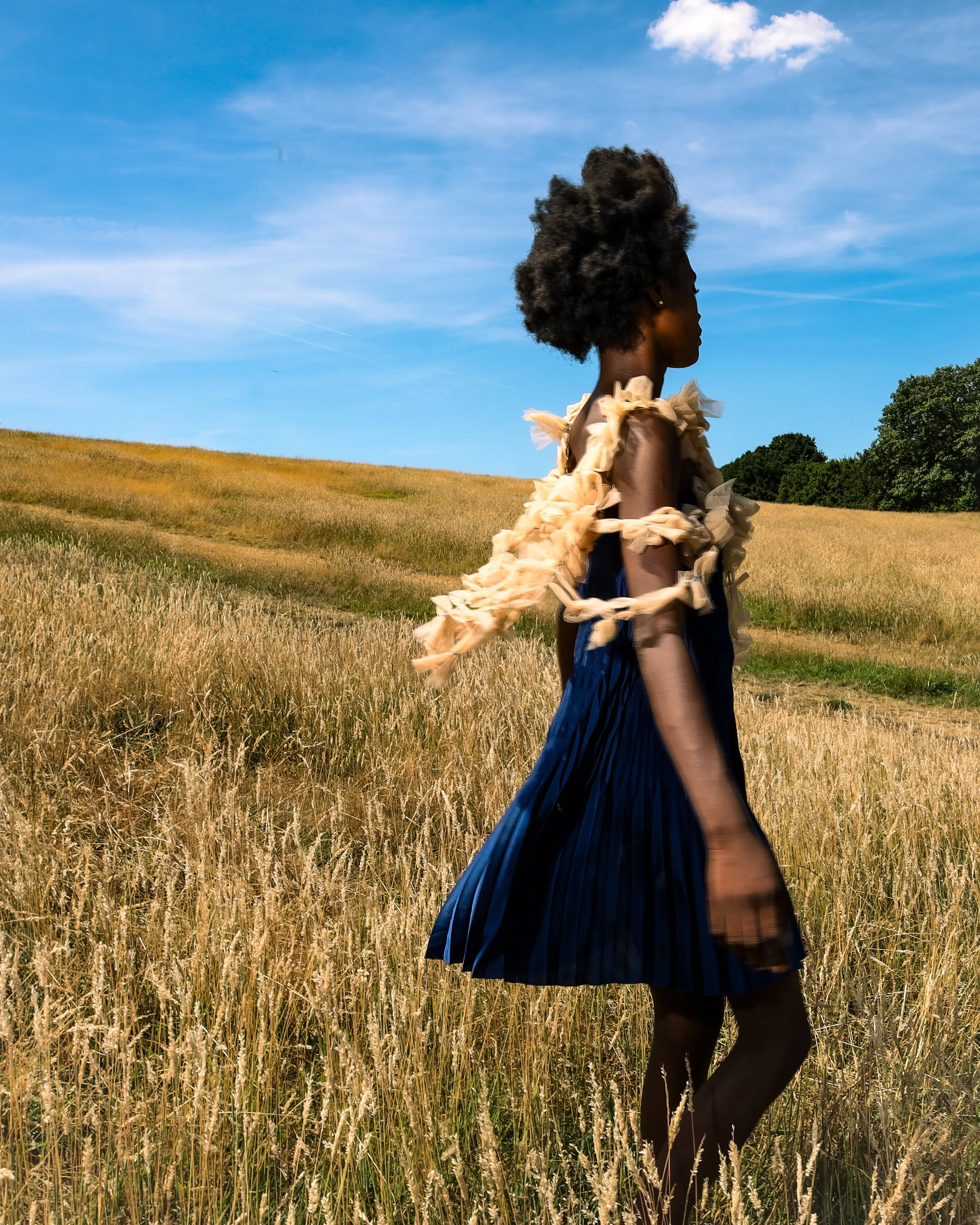 PURPLE HAZE Magazine Photo Assist