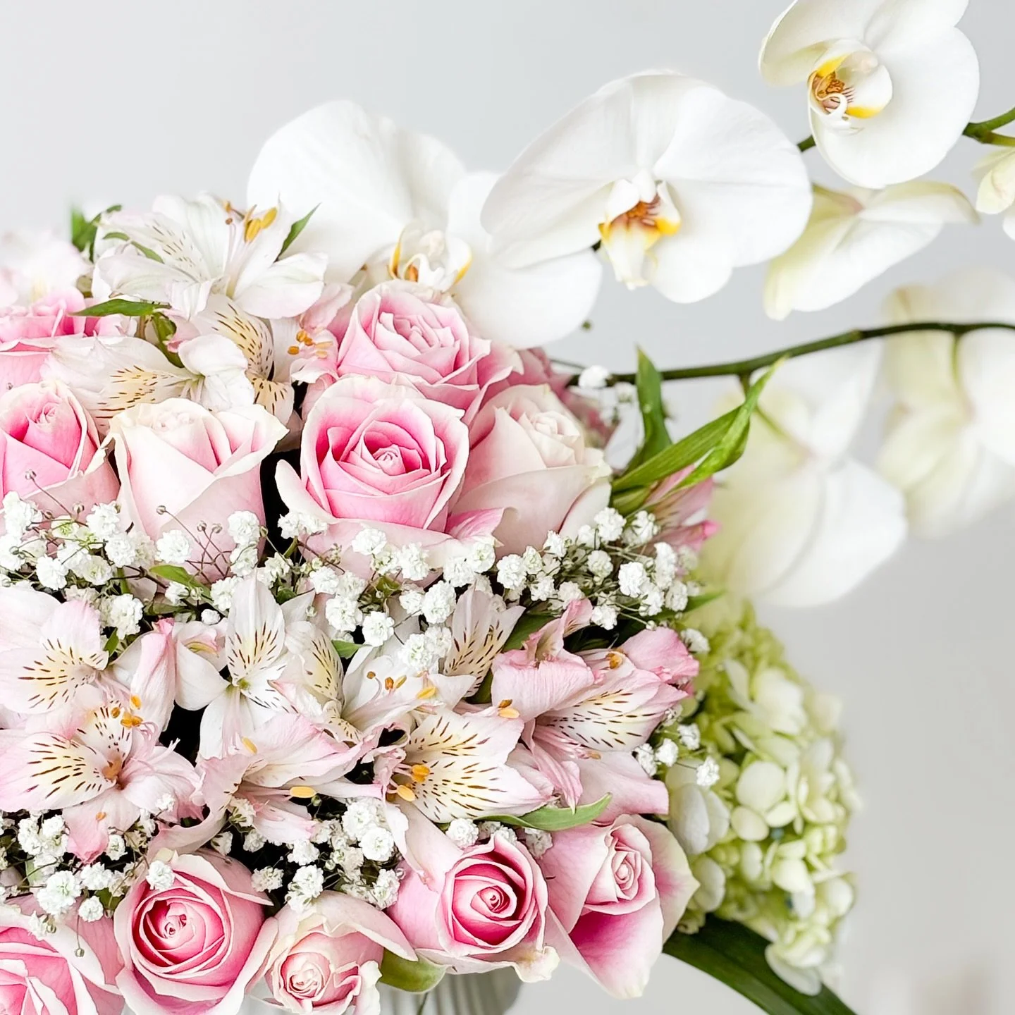 Rosas, hortensias y astromelias coronadas con orqu&iacute;deas blancas para crear ese estilo elegante y sofisticado a nuestro arreglo floral. 

#MaisonLaFlor #Flowers #orchid