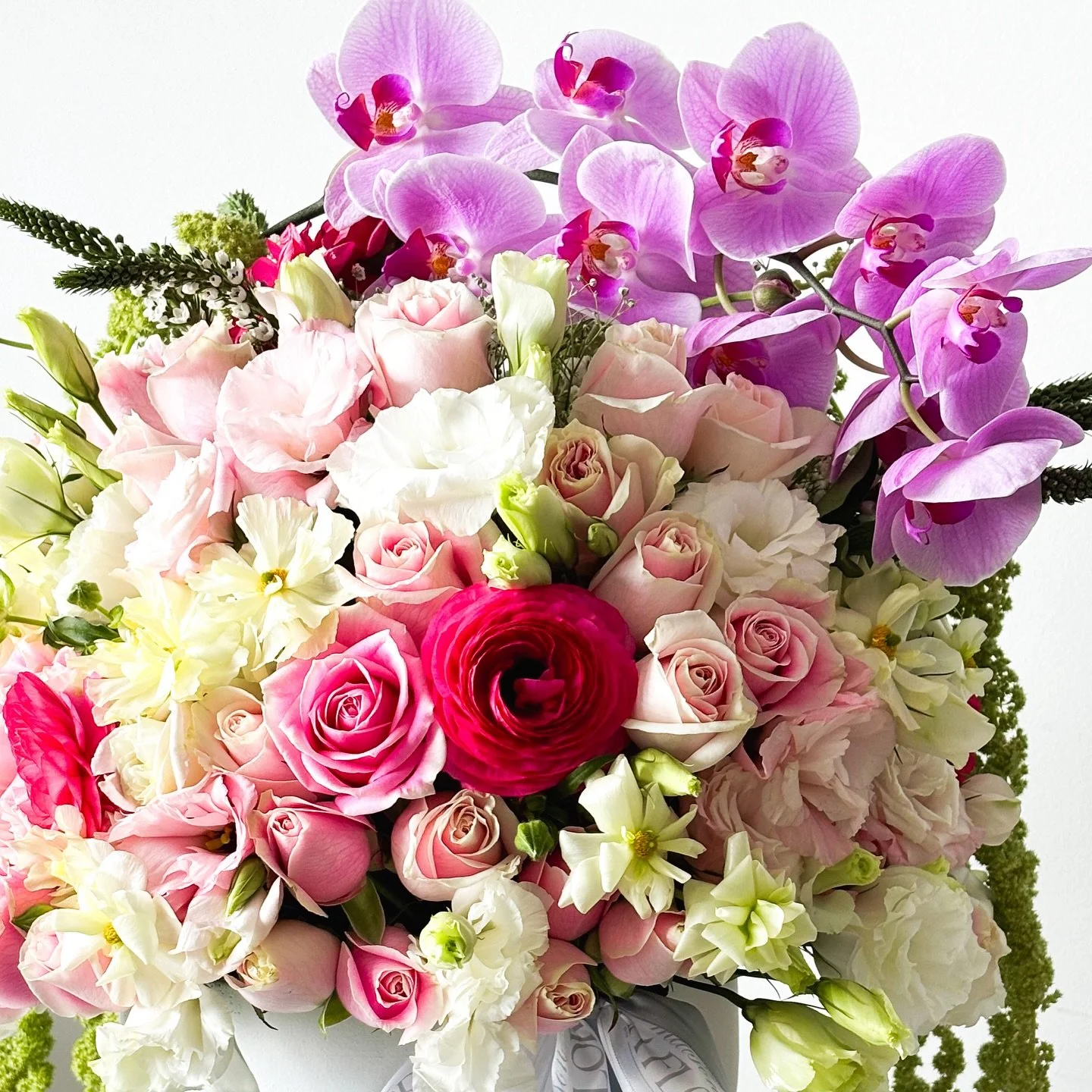 Full colors, full of flowers 

Un estallido vibrante que transforma cada espacio en arte vivo. Maison La Flor celebra la belleza sin l&iacute;mites, donde el color y las flores cuentan historias de elegancia y pasi&oacute;n.

#MaisonLaFlor #FullColor