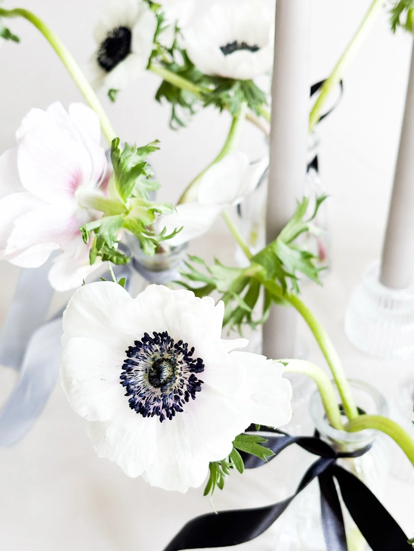 Con su elegancia natural y su contraste perfecto entre la suavidad de los p&eacute;talos y la intensidad del centro, las an&eacute;monas se convierten en el alma de un centro de mesa sofisticado. Ideales para eventos especiales, aportan un aire conte