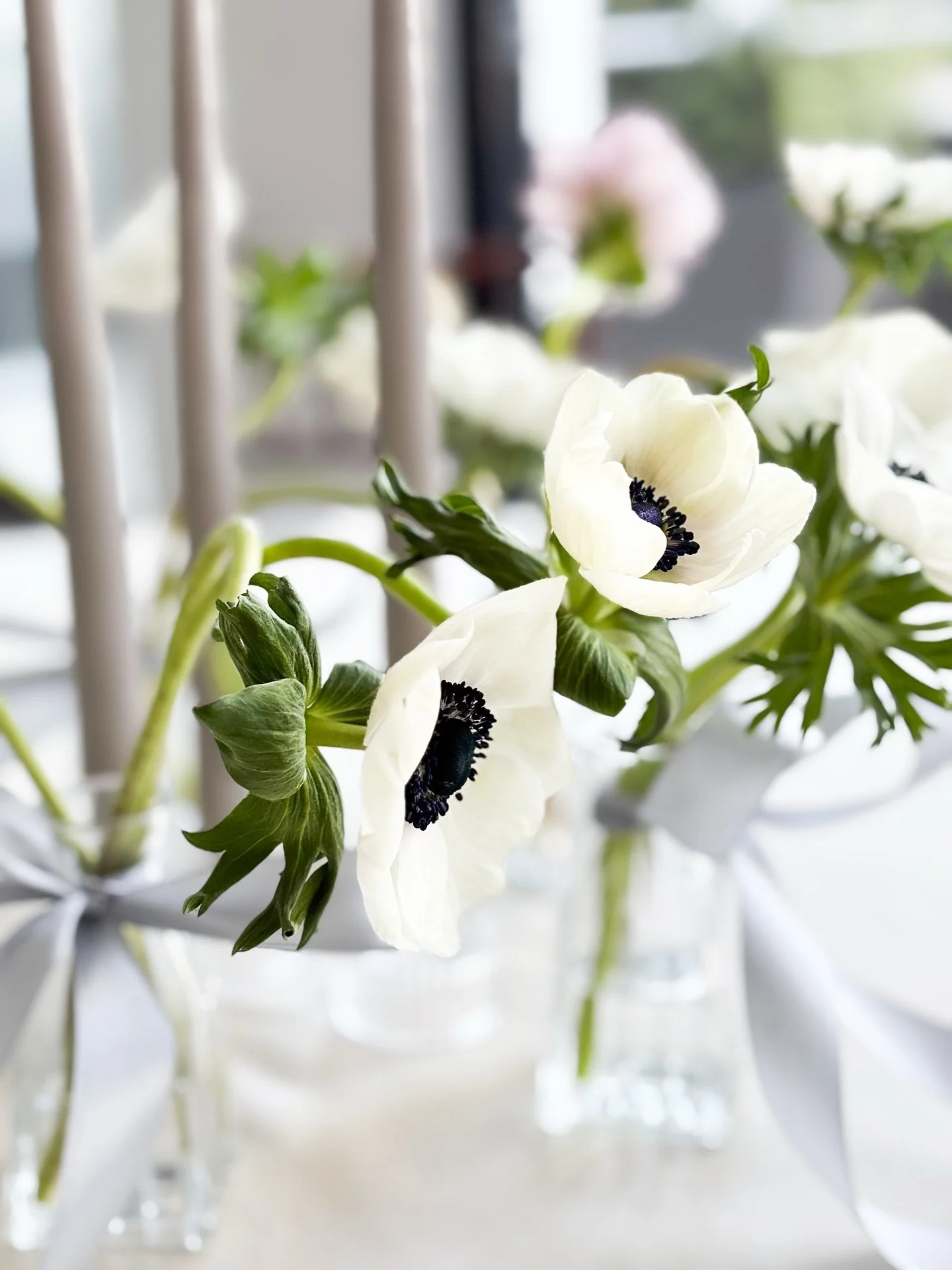 An&eacute;monas blancas y velas en tonos suaves, creando un centro de mesa elegante para una ocasi&oacute;n especial. ✨

#MaisonLaFlor #EventDesign #LuxuryFlorals #Anemonas #TableDecor #FloralArt #ChicStyle #DetallesQueEnamoran