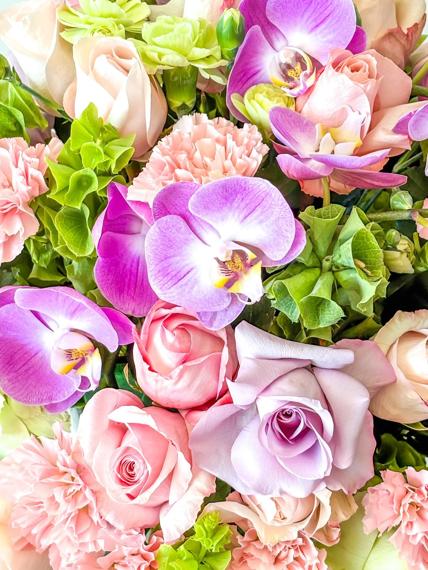 Cada flor tiene intenci&oacute;n. Cada detalle, car&aacute;cter.

#MaisonLaFlor #LuxuryFlowers #FloralDesign #ArteFloral