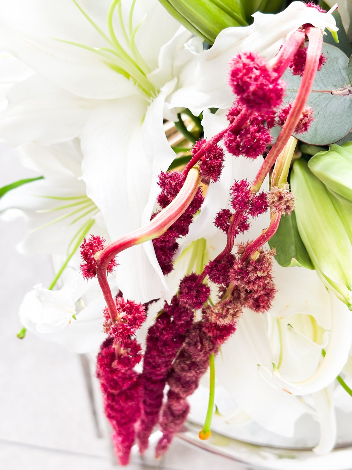 Less romance, more statement.

#MaisonLaFlor #FloralEditorial #ModernLuxury