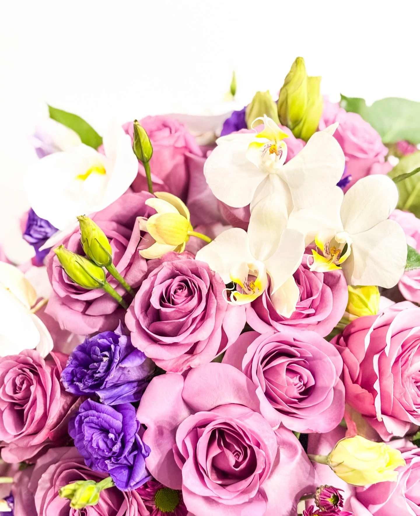 Rosas y orqu&iacute;deas en su punto exacto

#MaisonLaFlor #QuietLuxury #LessIsMore #FloralDesign