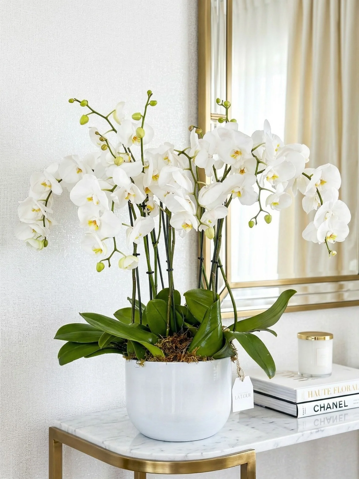 Orqu&iacute;deas blancas que hablan en susurros de elegancia, pureza y equilibrio.

#MaisonLaFlor #QuietLuxury #Orchids #FloralDesign #LuxuryLiving