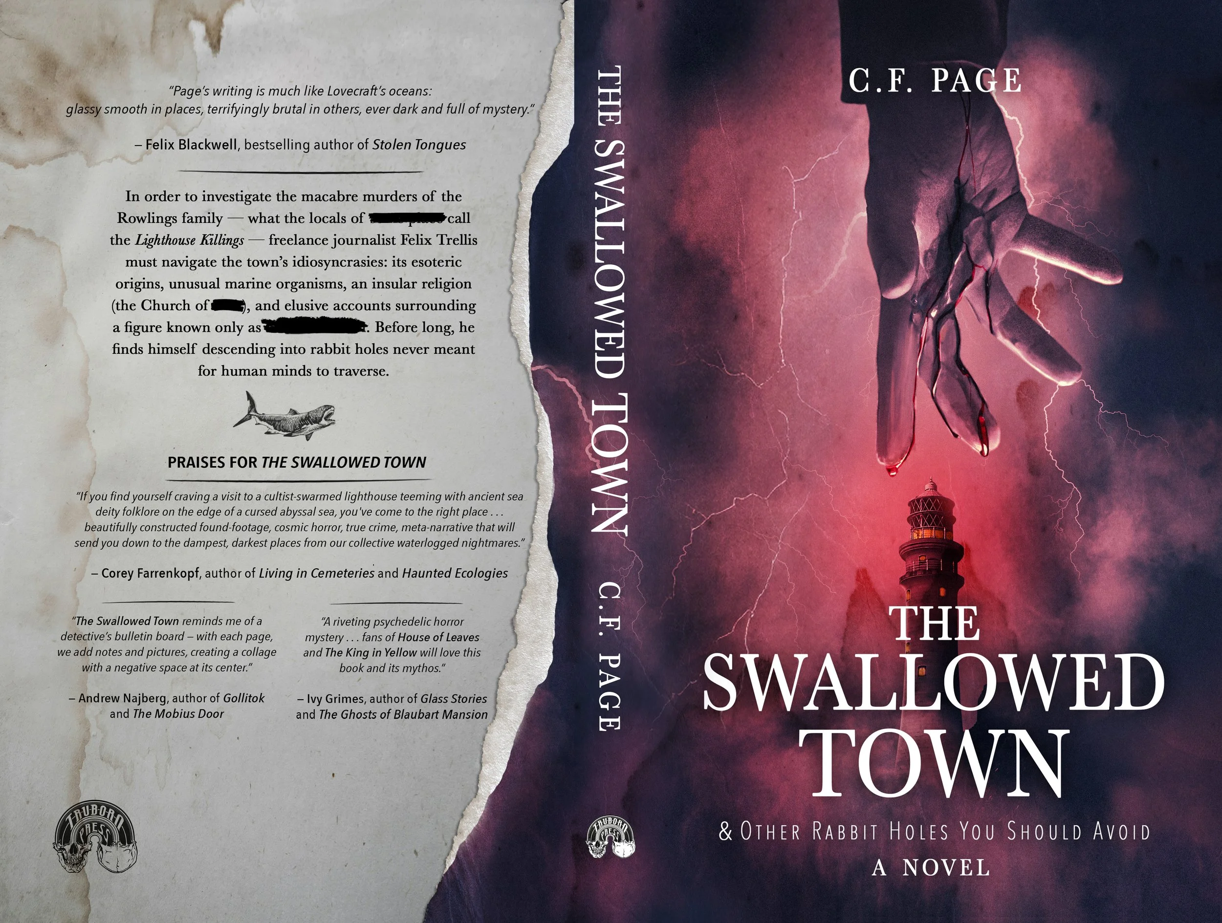 The-Swallowed-Town-5x8-KDP copy.jpg