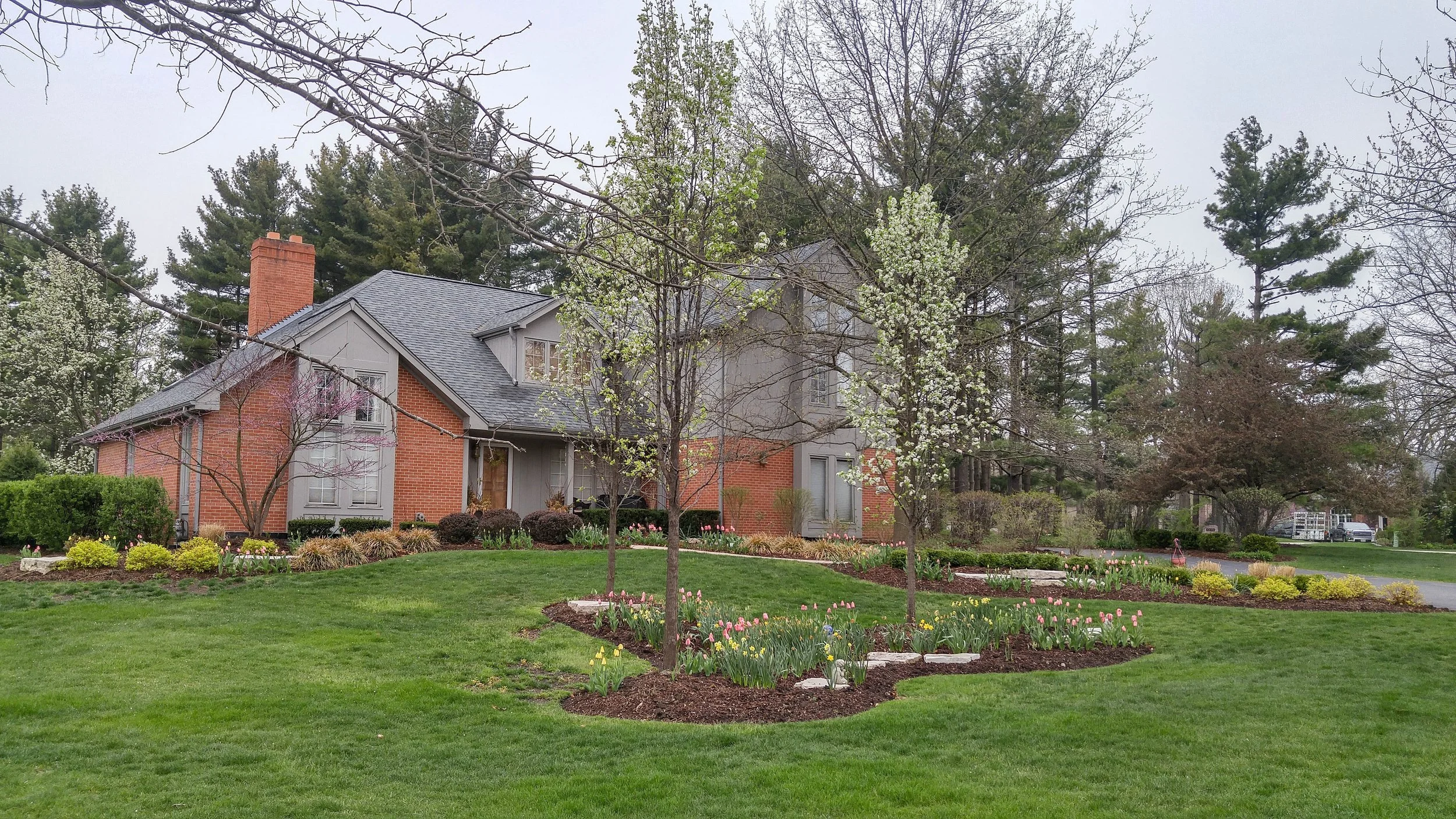 homer glen spring bulbs 2.jpg