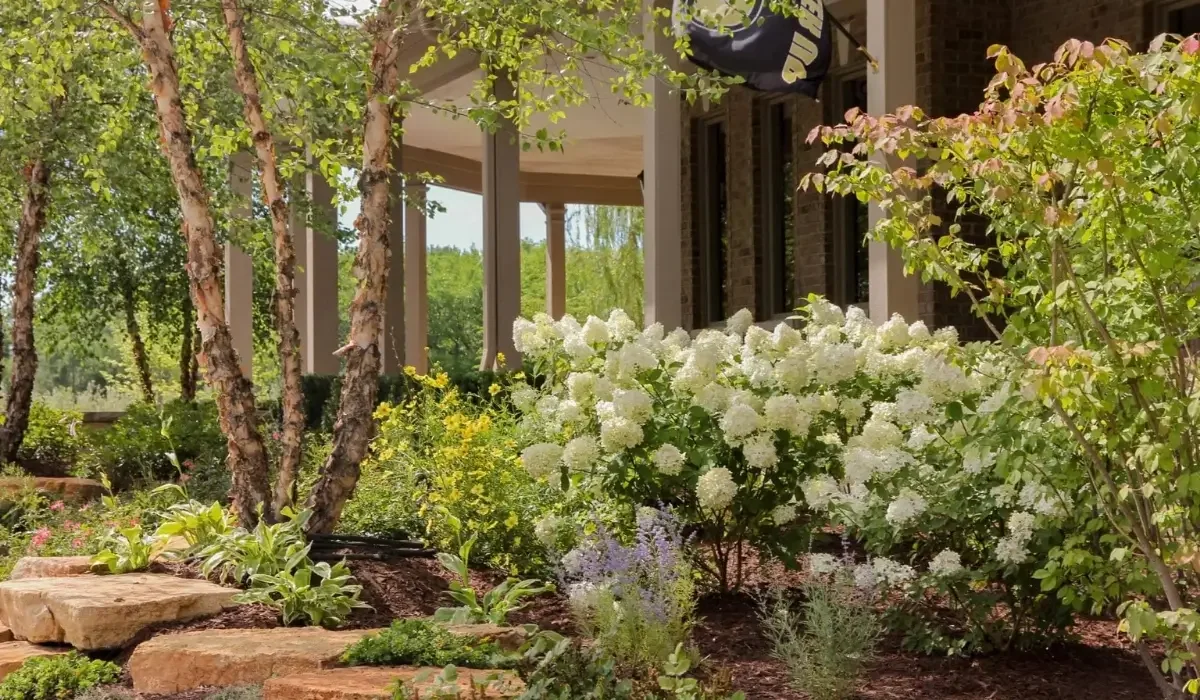 Transforming a Plain Backyard Into a Luxury Outdoor Environment