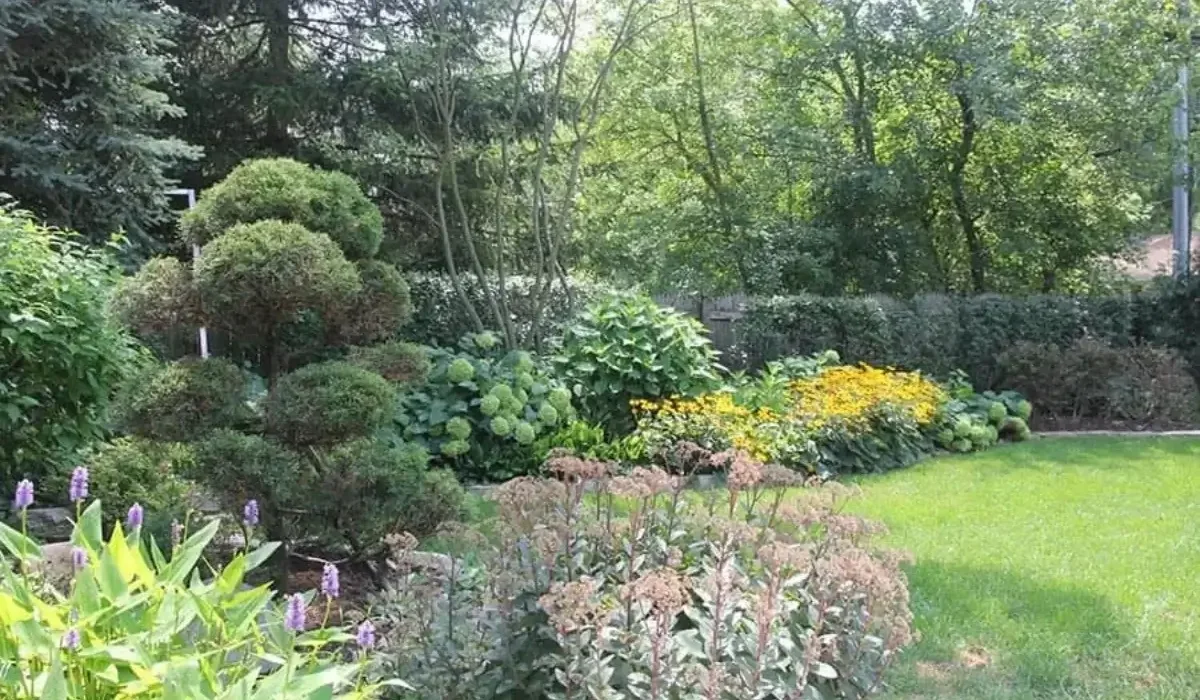 Why Fall Is the Right Time to Start Planning Next Year's Landscape Project