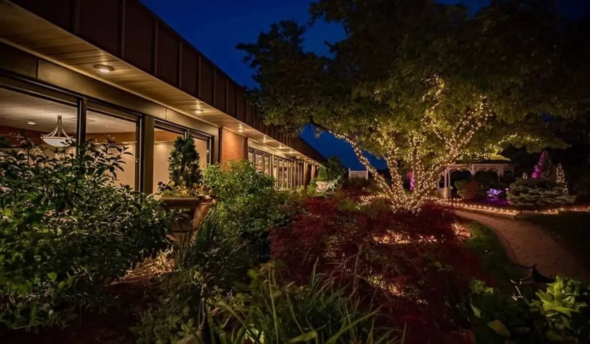 How to Design a Luxury Landscape That Balances Beauty and Function