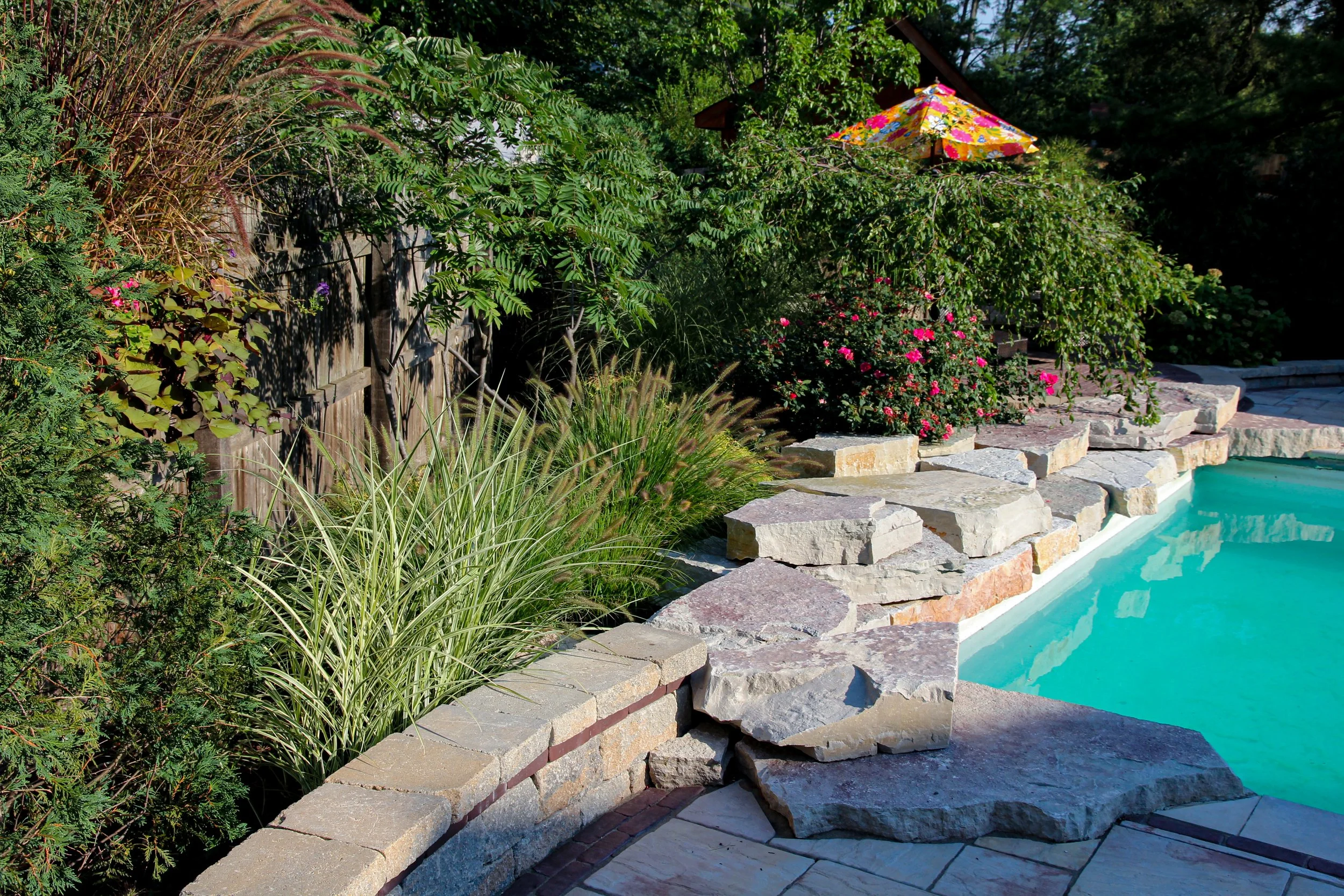 4-Palos Heights Pool-5126.jpg