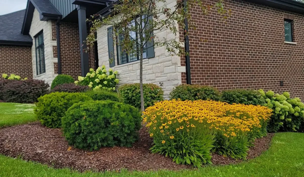 Custom Landscape Design vs. Pre-Made Plans: Which Is Right for Your Property?