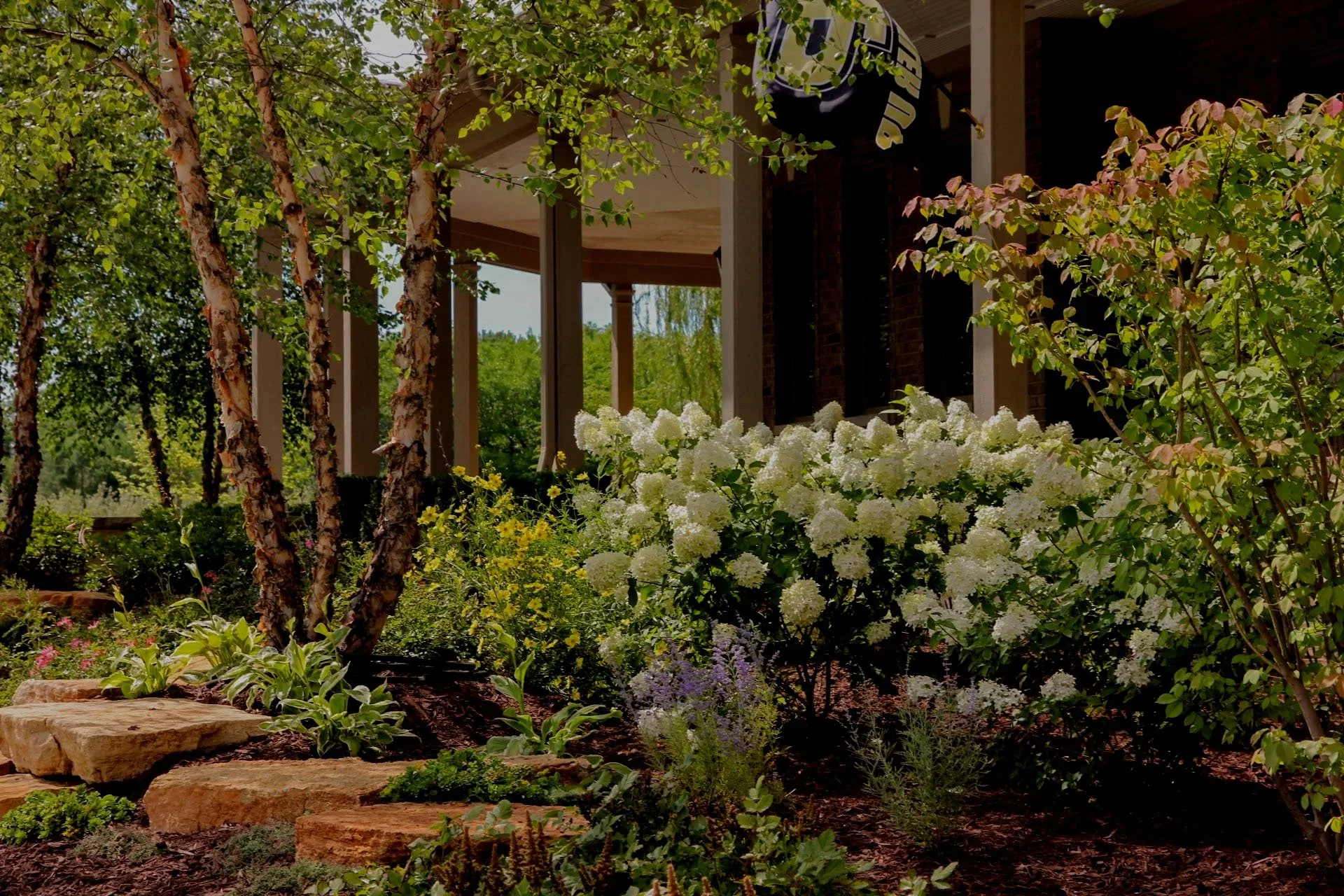 Beautiful landscape with white flowers