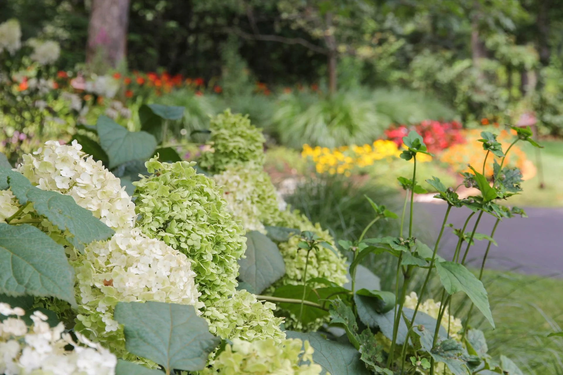 exotic plants and beautiful landscaping