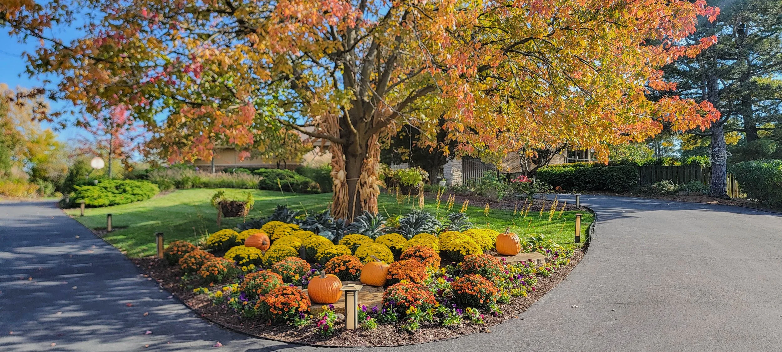 Landscaping Project 3