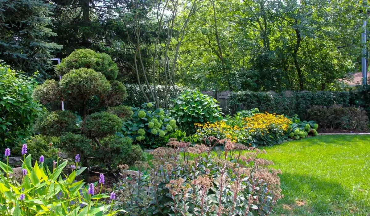 The Role of Landscape Architecture in High-End Outdoor Design