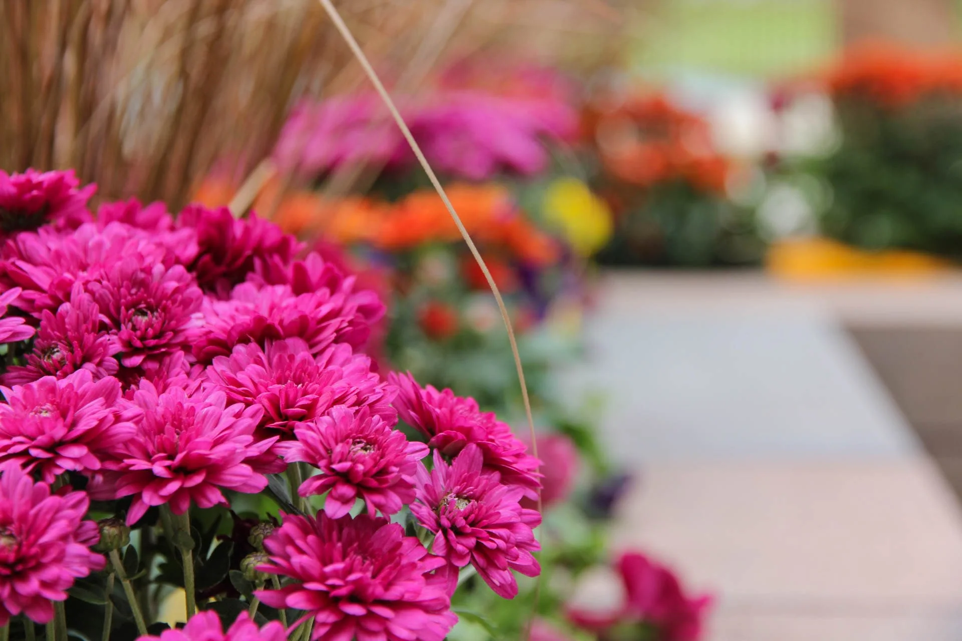 lockport planter 2.jpg