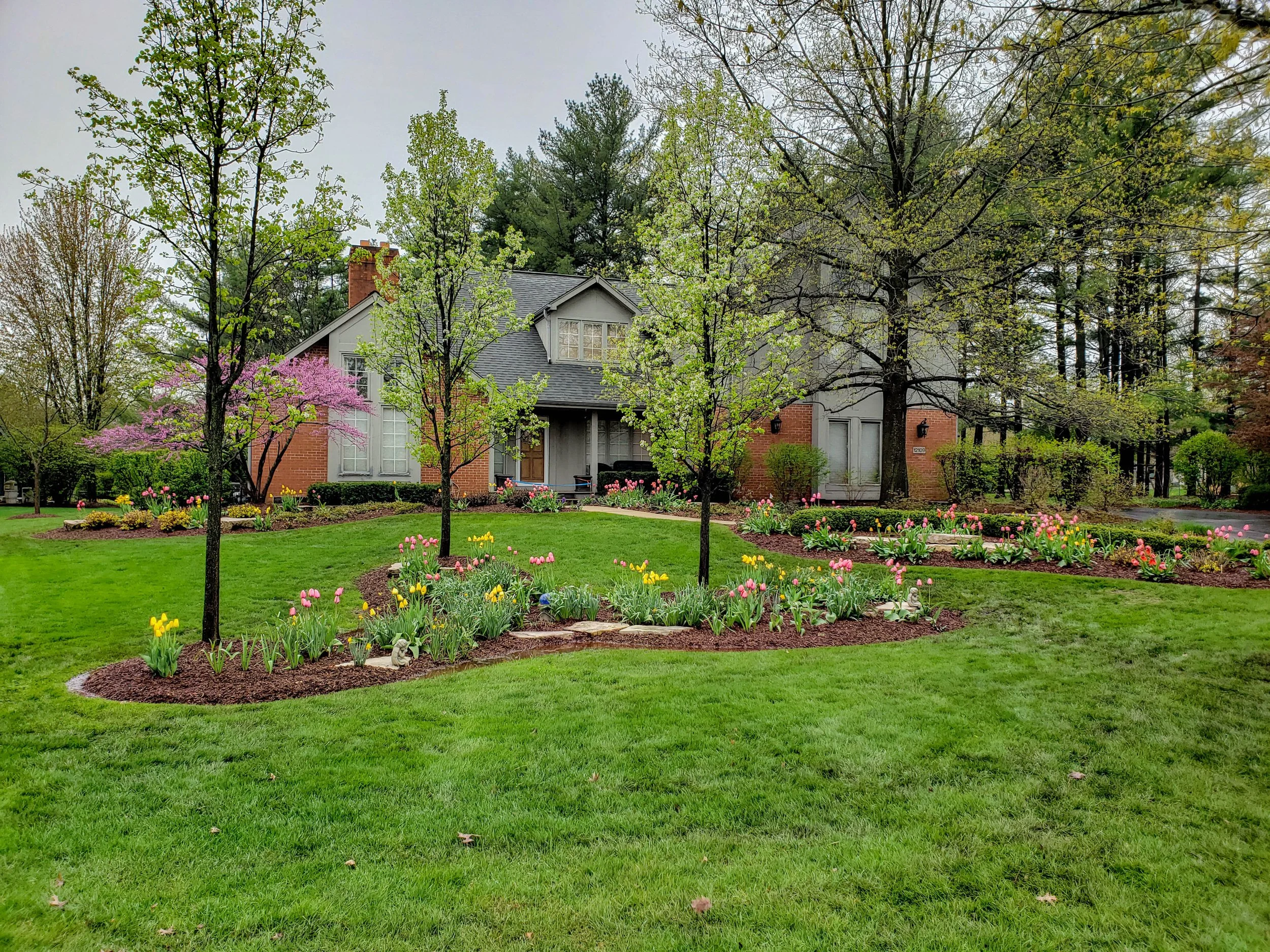 homer glen spring bulbs 3.jpg