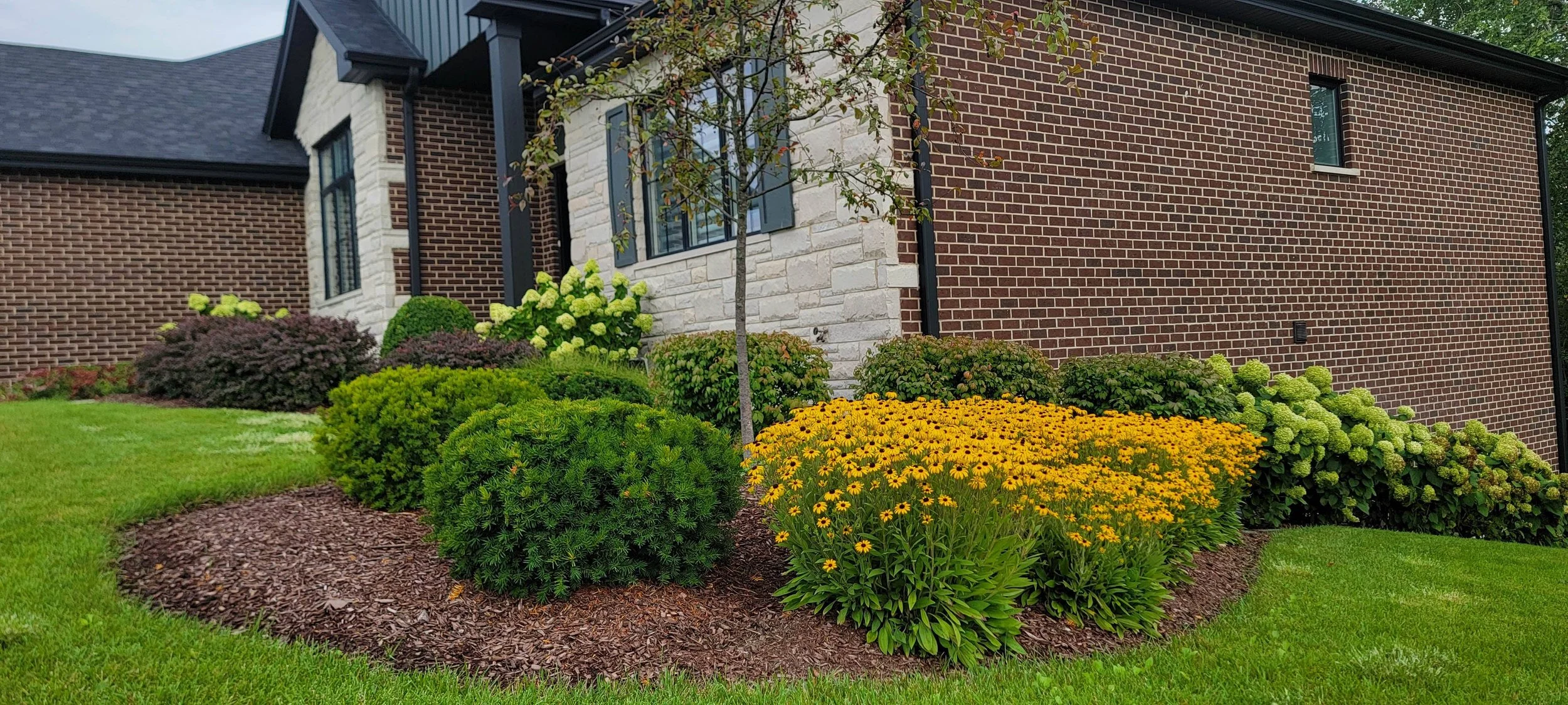 Reimagining Outdoor Spaces: Unique Landscape Design Strategies