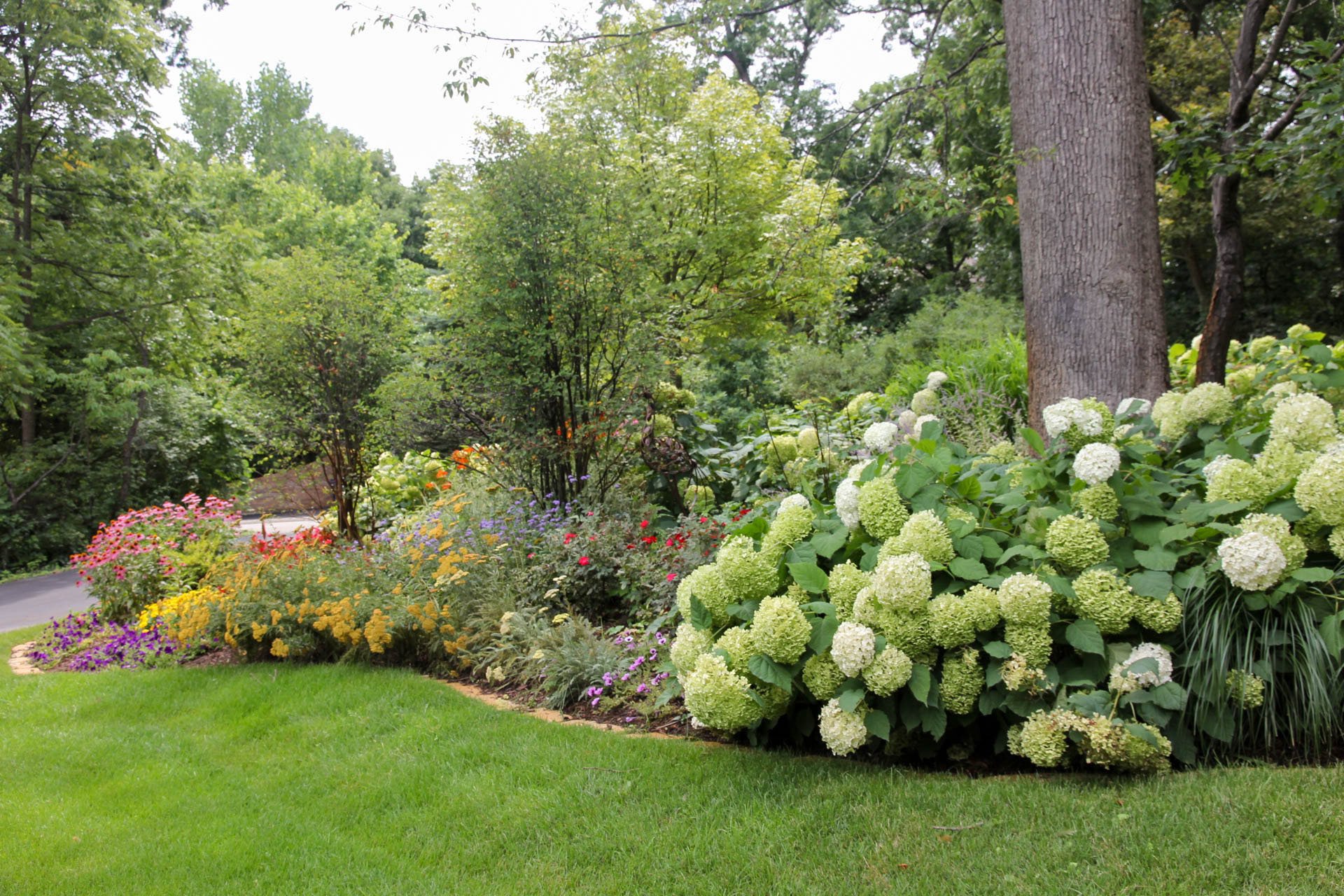 Exotic plants designed by BretMar landscape