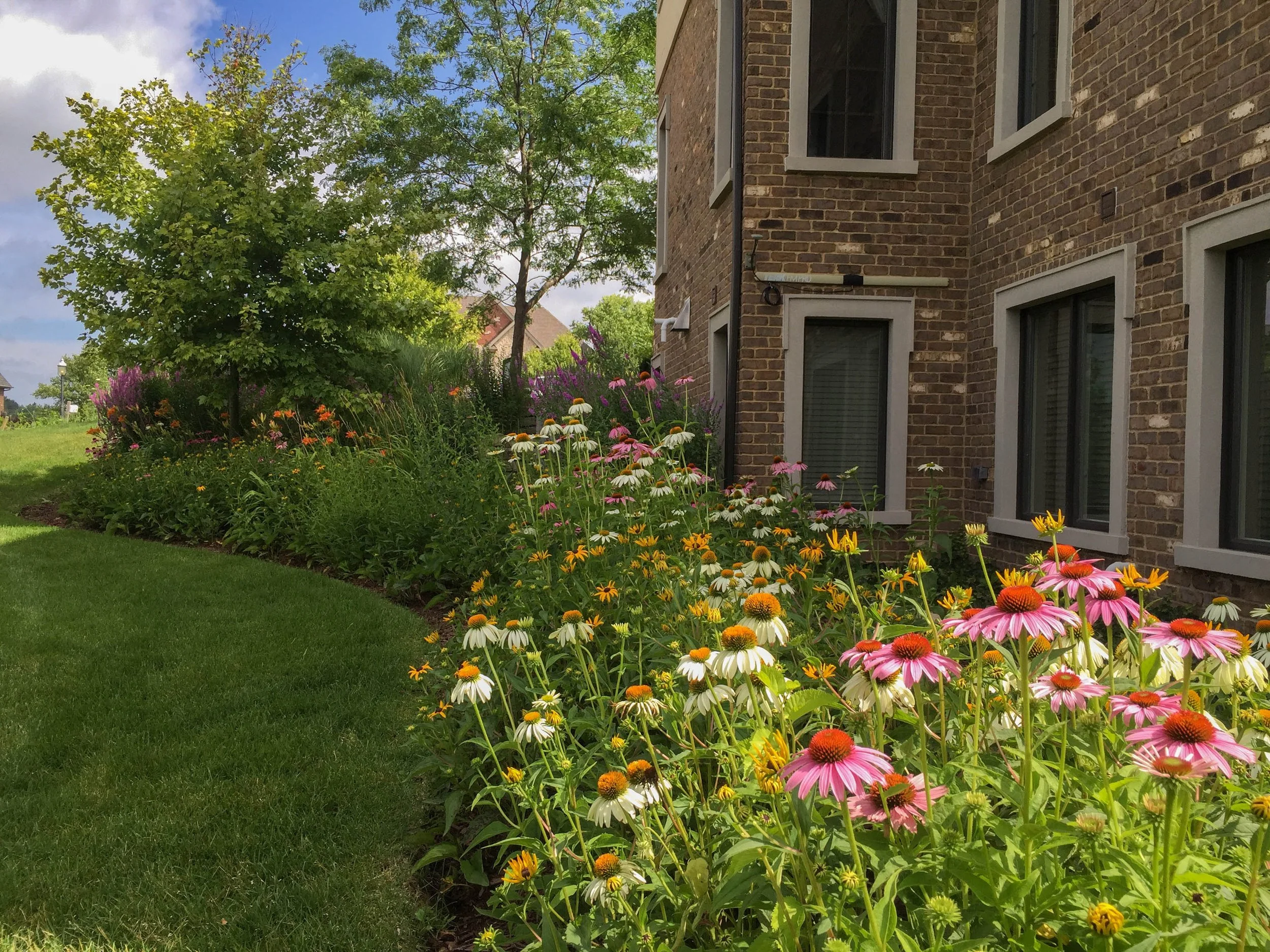 mokena perennial planting 1.jpg