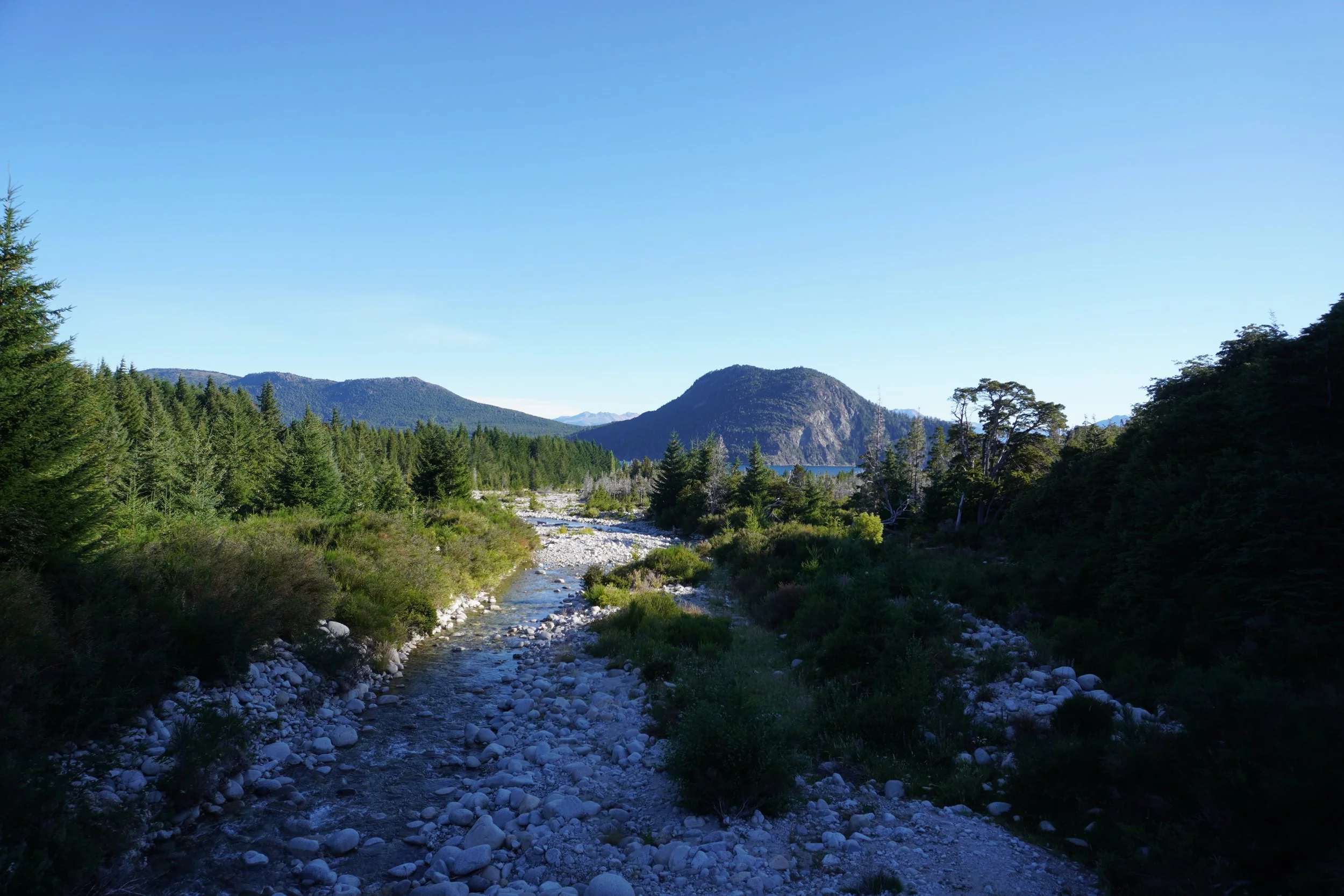 Scenic view of a rocky creek crossing through a lush green forest with mountains in the distance under a clear blue sky.