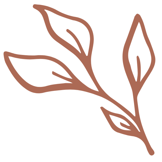 Naturopath Nicole Wrightson from Natured Wellness logo - A simple, stylized illustration of a branch with four elongated leaves, drawn with brown outlines on a black background.