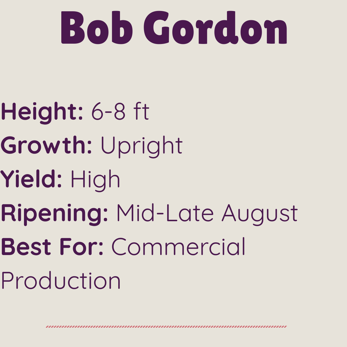 Bob Gordon elderberry attributes