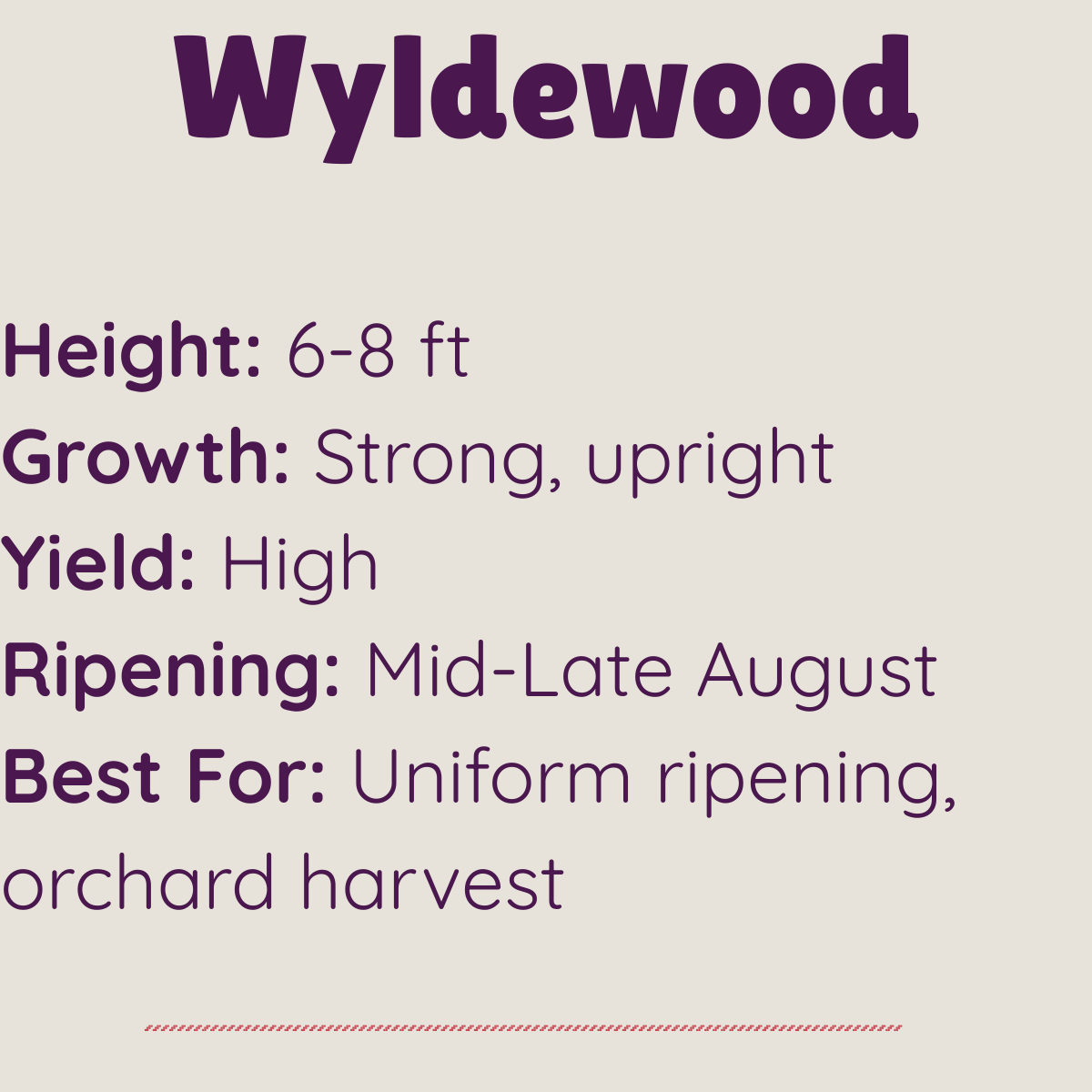 Wyldewood elderberry qualities