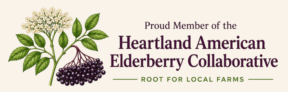 Heartland American Elderberry Collaborative member badge promoting regional American elderberry farms and the Root for Local Farms initiative.