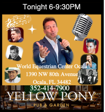 Yellow Pony @ WEC (Copy)