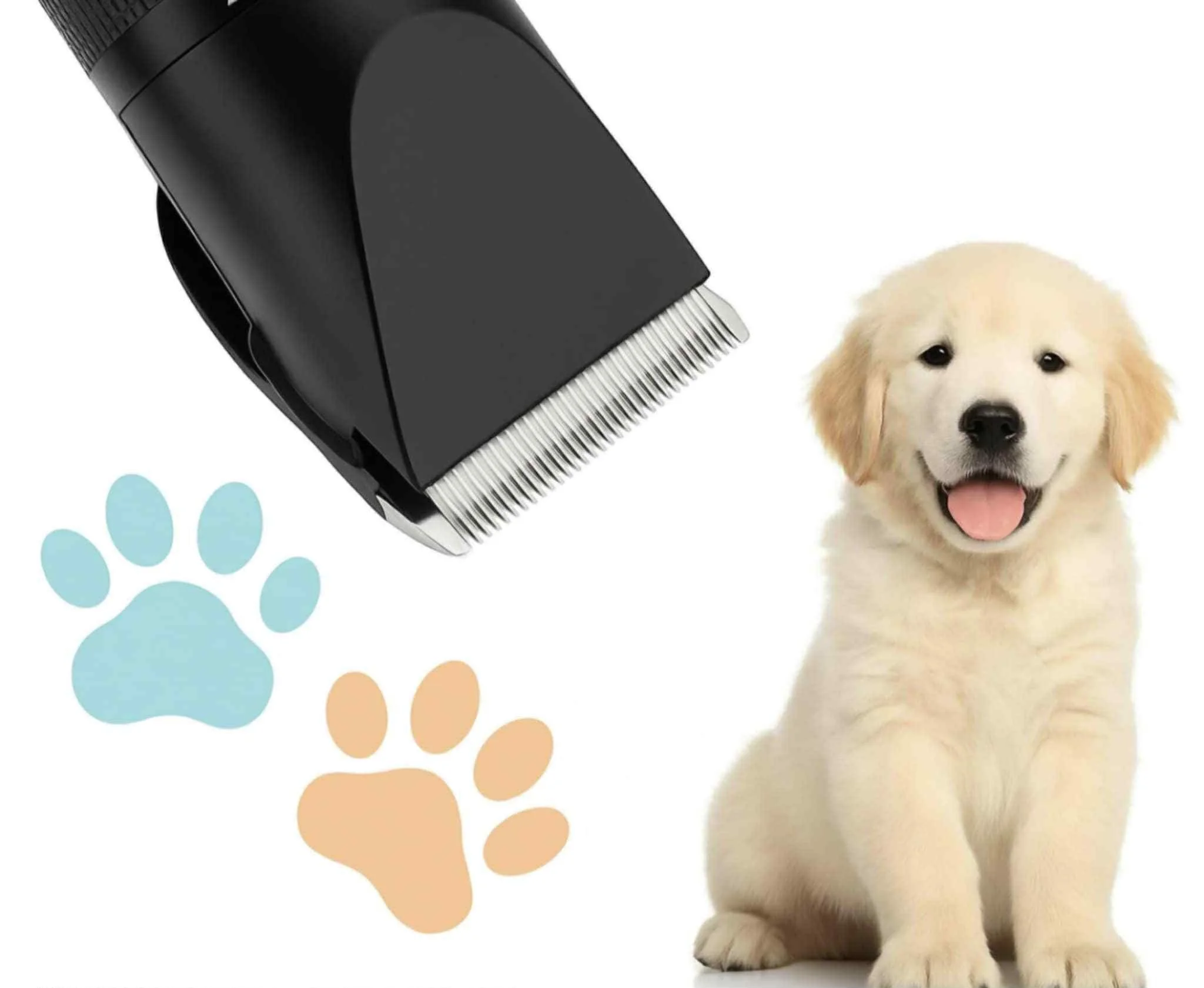 A grooming clipper, two paw print icons, and a happy golden retriever puppy.