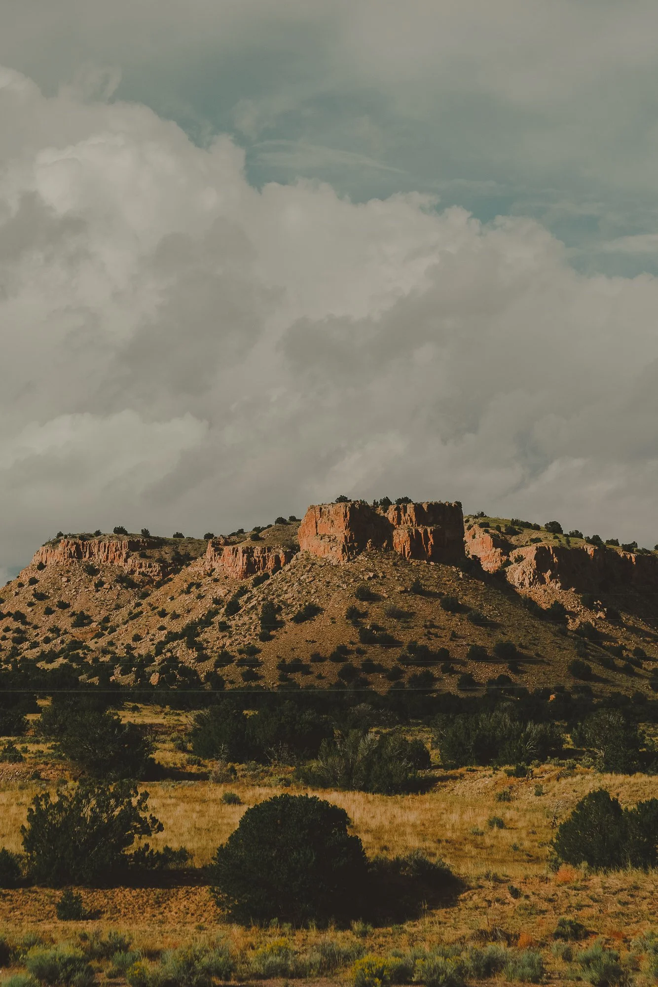 Mesa Landscape