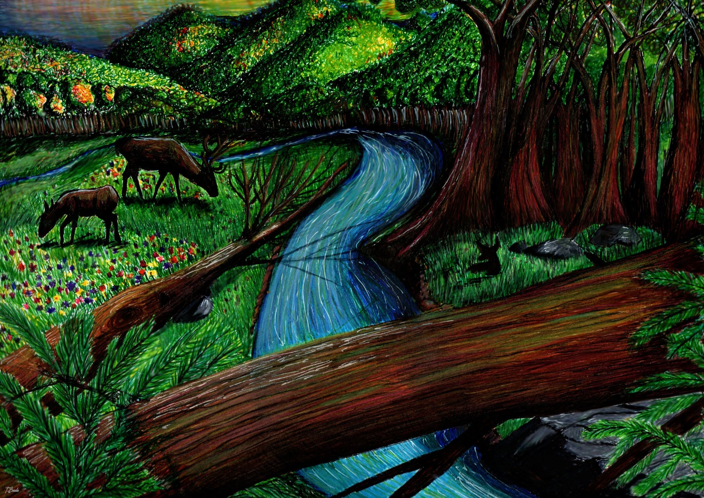 Deer Valley - Coloured Pencil and Fineliner Drawing