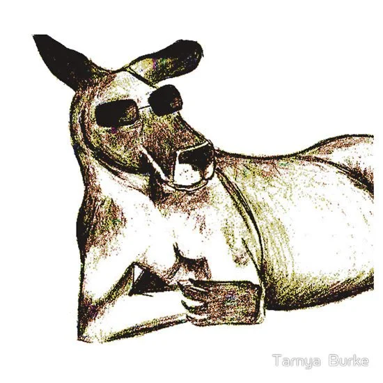 Cool Kangaroo - Pencil Sketch