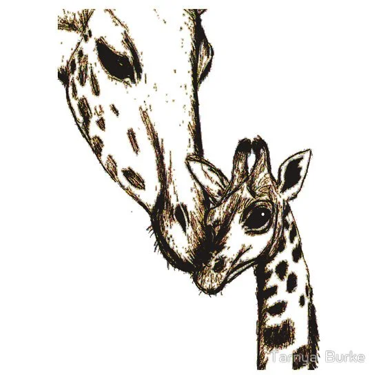 Mother and Calf - Pencil Sketch