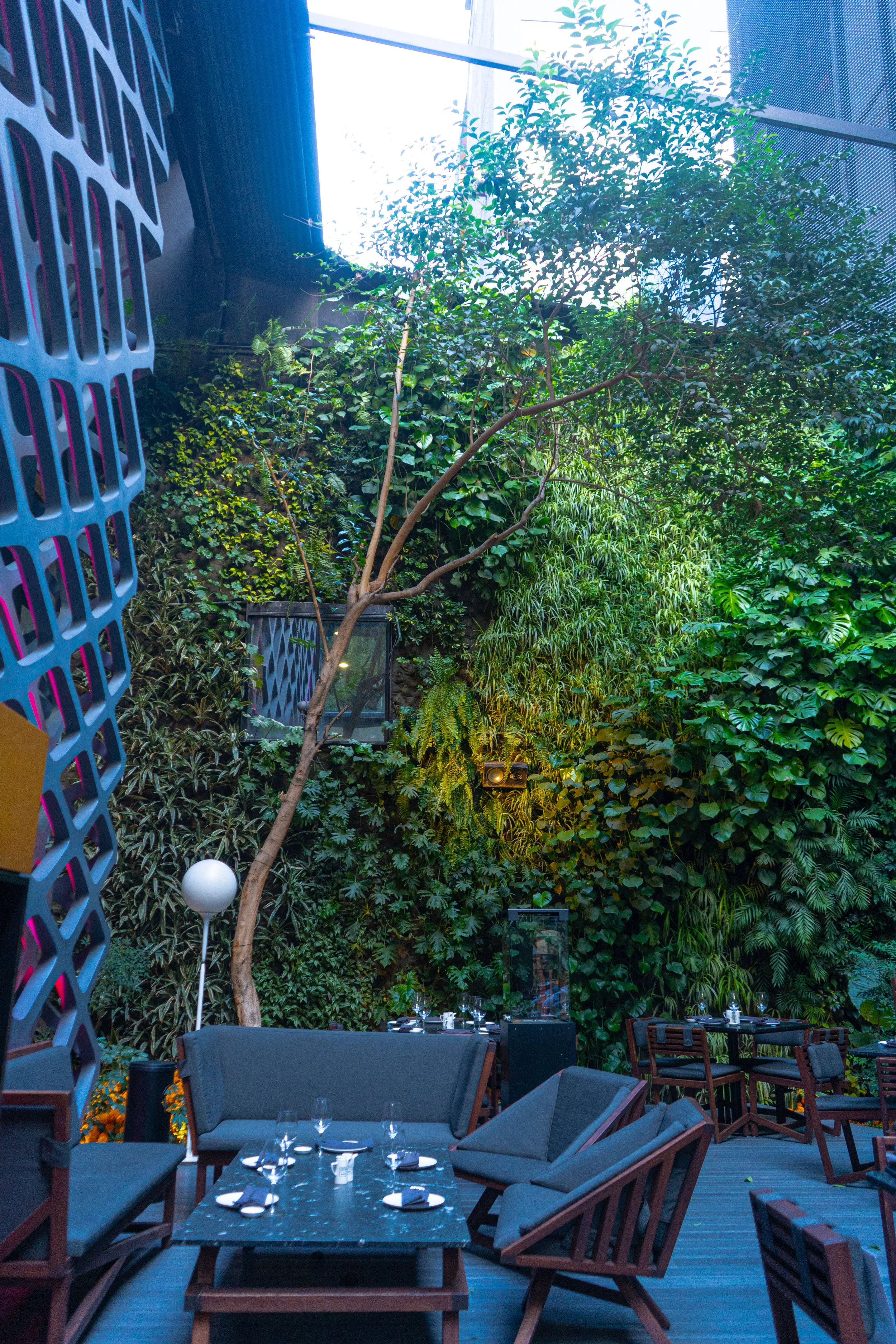 Un patio decorado con plantas y árboles, con sillas y mesas listas para comer, en un ambiente cerrado con luz natural y iluminación artificial