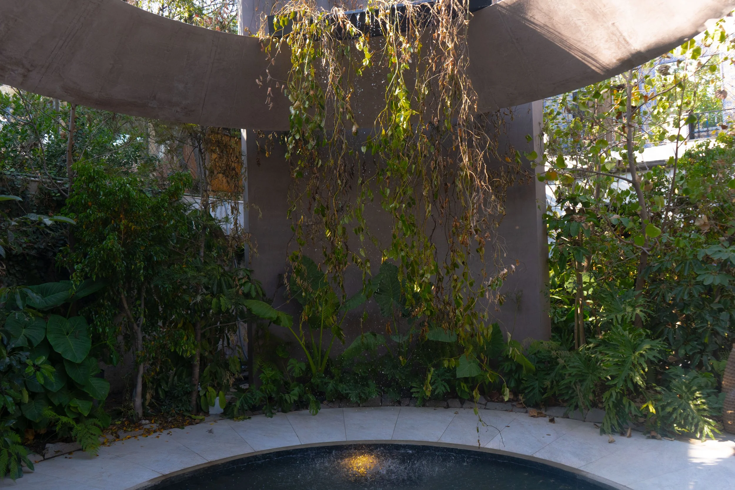 Jardín con plantas verdes y flores, fuente con agua en primer plano, estructura de hormigón y sombrilla en el fondo.